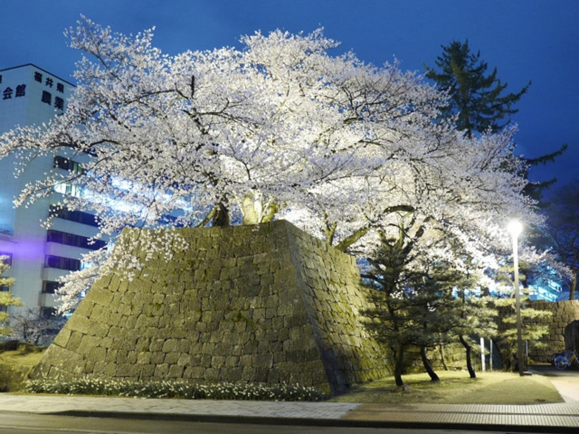 Hotel Fukui Castle - Vacation Stay 58712V Exterior photo